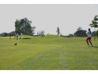 https://www.plongeetoulouse.com/wp-content/plugins/heiv-gallery-3/cache/imgs/thumb_Anne-Sophie et son canard.gif